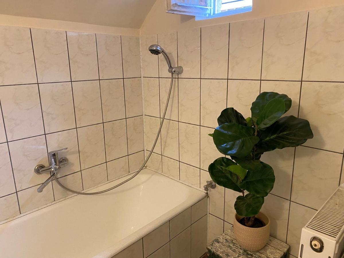 Rose'S Oldtown Apartment Brasov Bagian luar foto