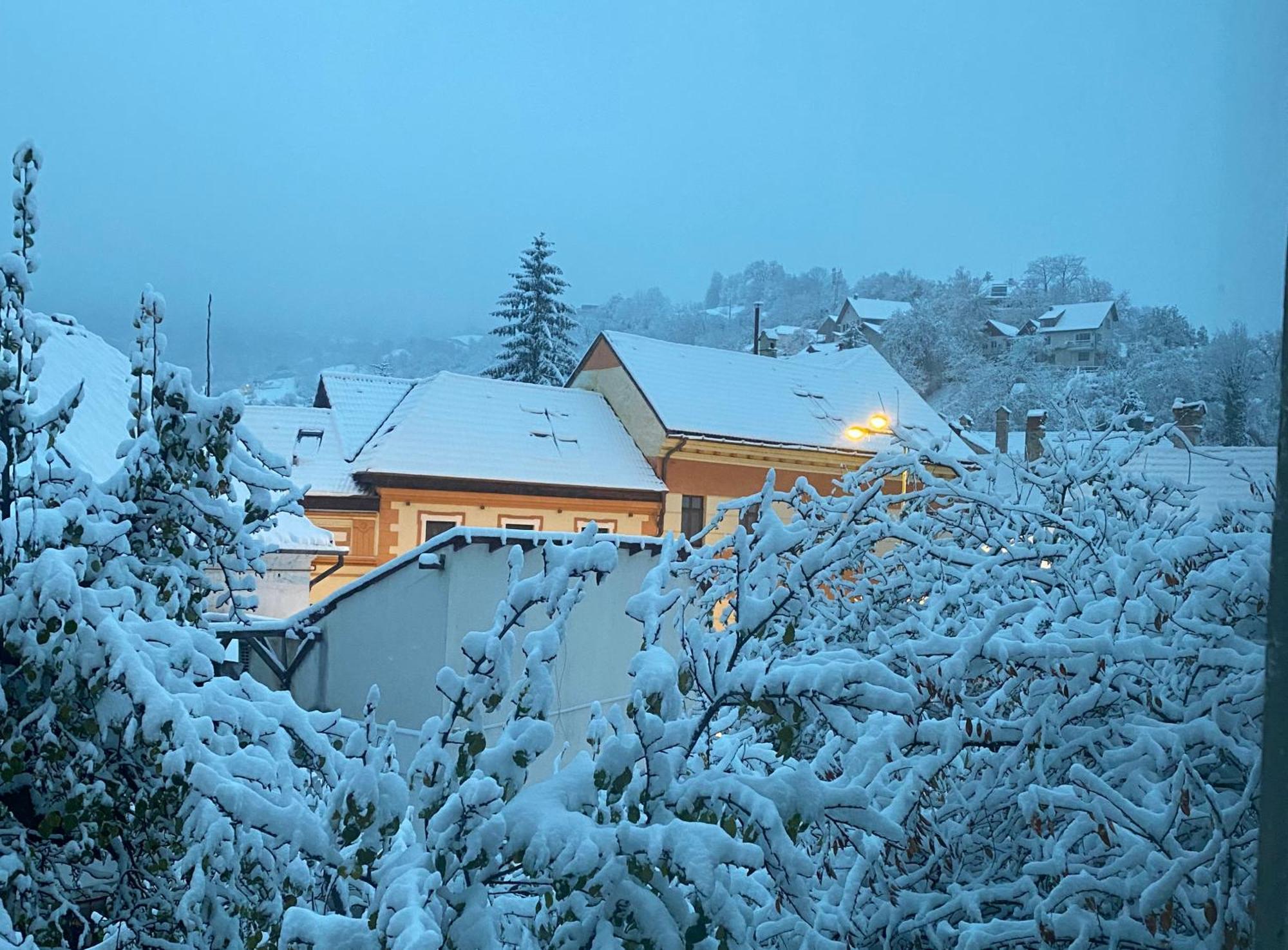 Rose'S Oldtown Apartment Brasov Bagian luar foto