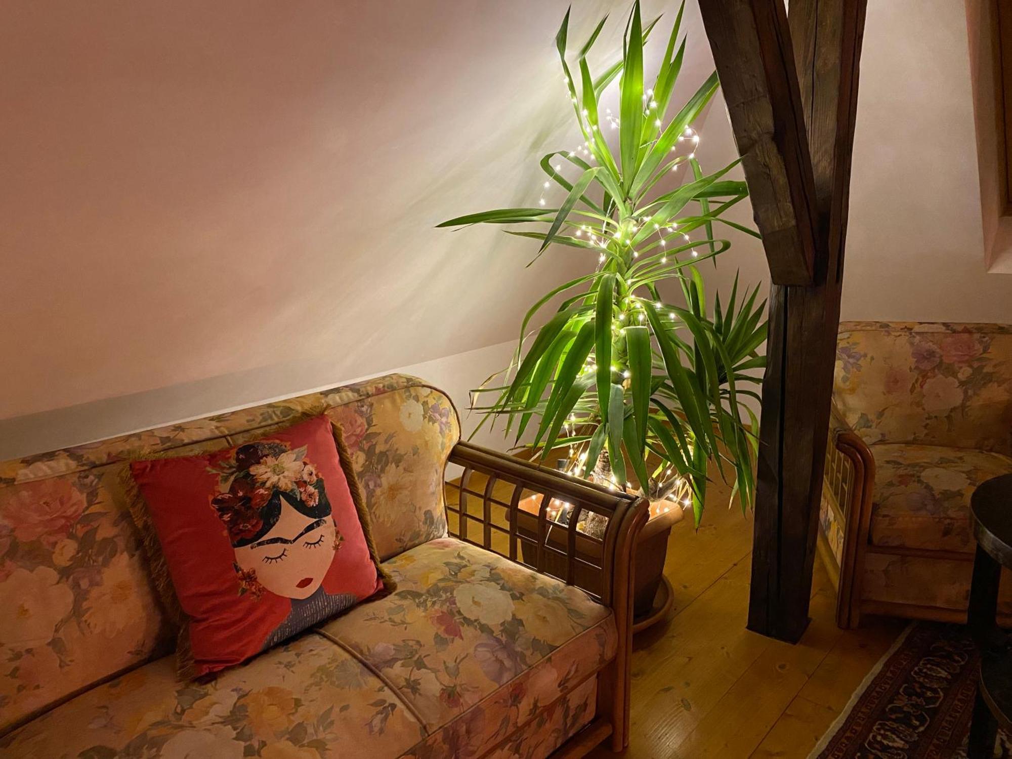 Rose'S Oldtown Apartment Brasov Bagian luar foto
