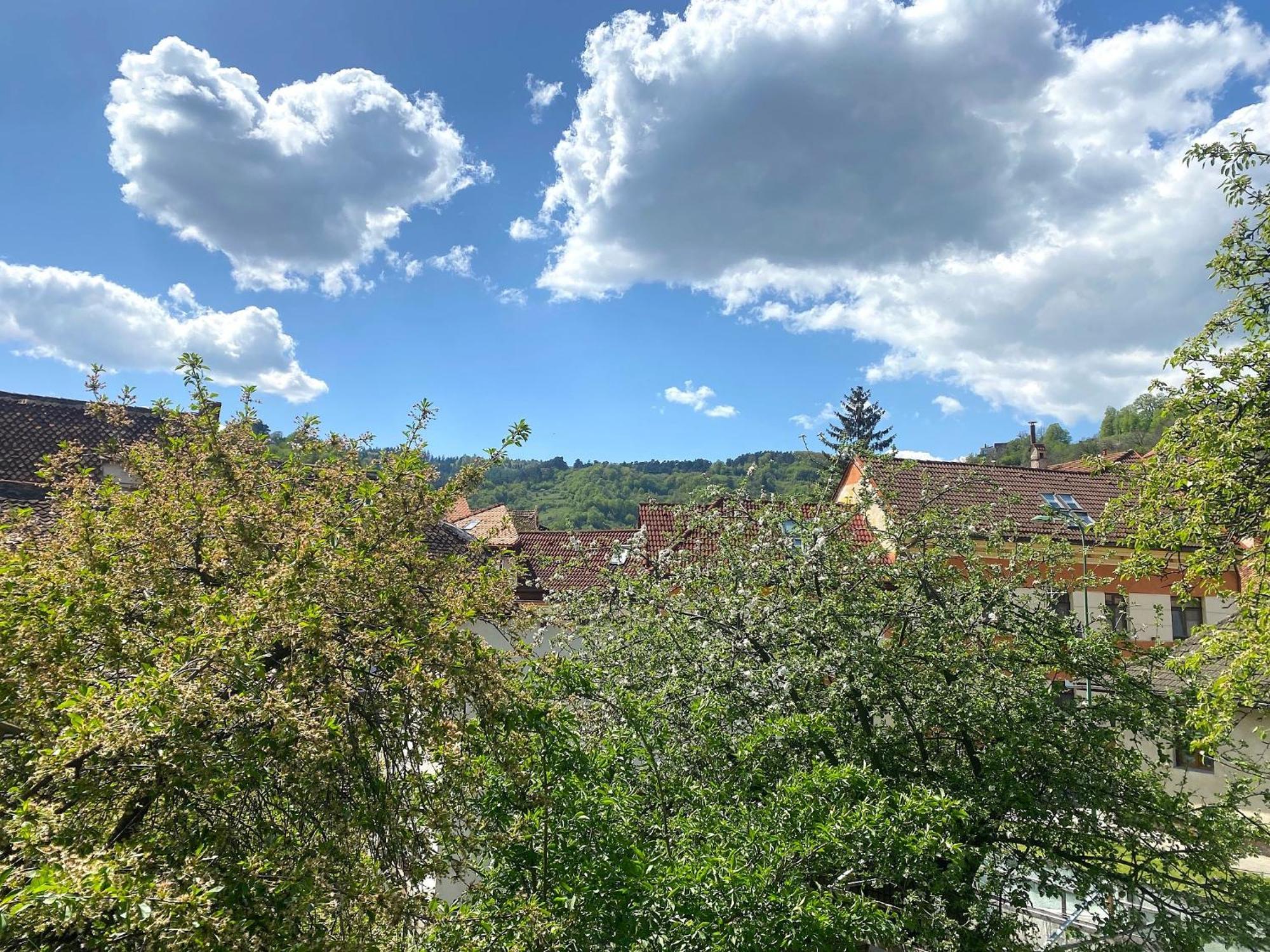 Rose'S Oldtown Apartment Brasov Bagian luar foto