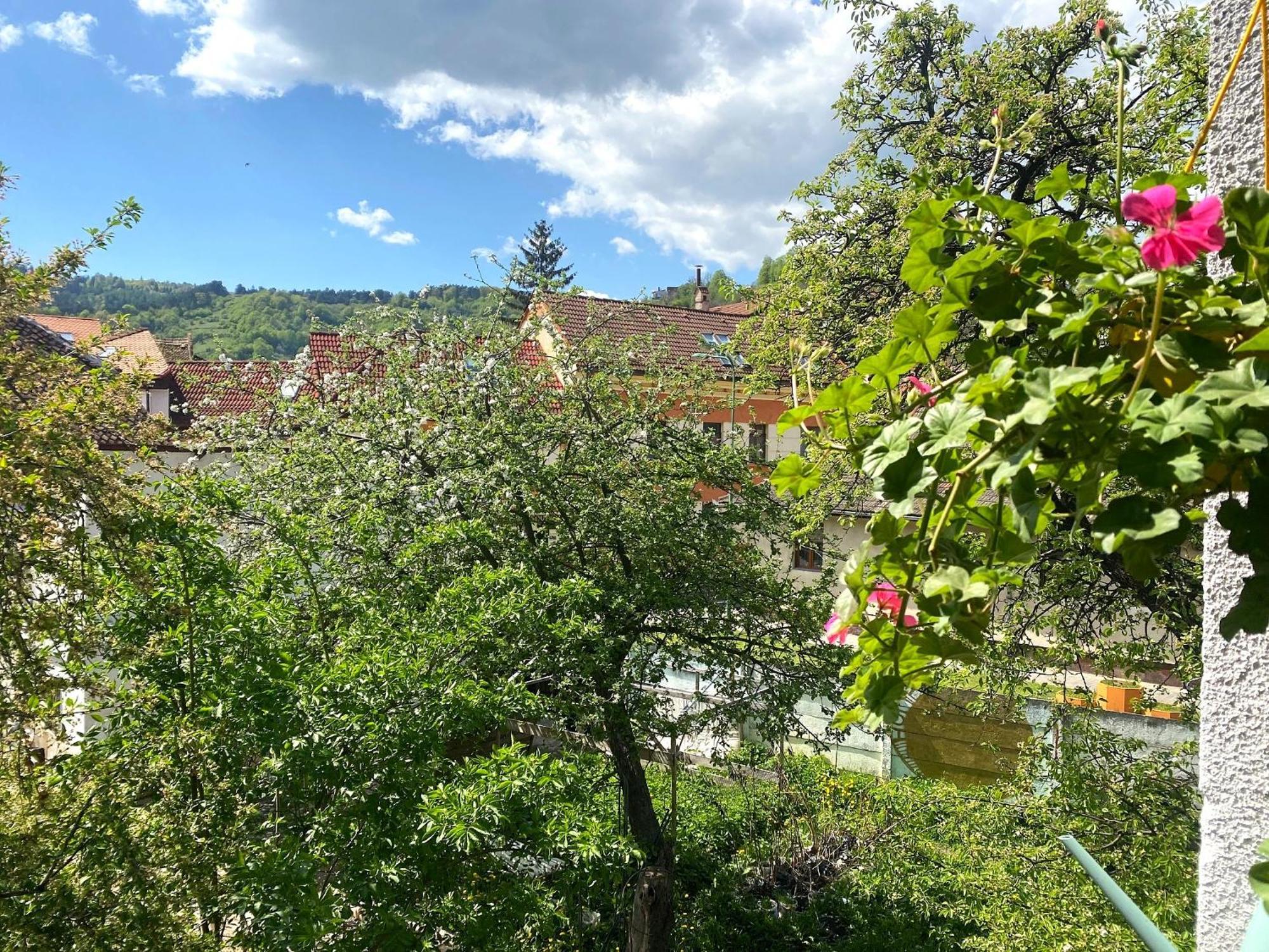 Rose'S Oldtown Apartment Brasov Bagian luar foto